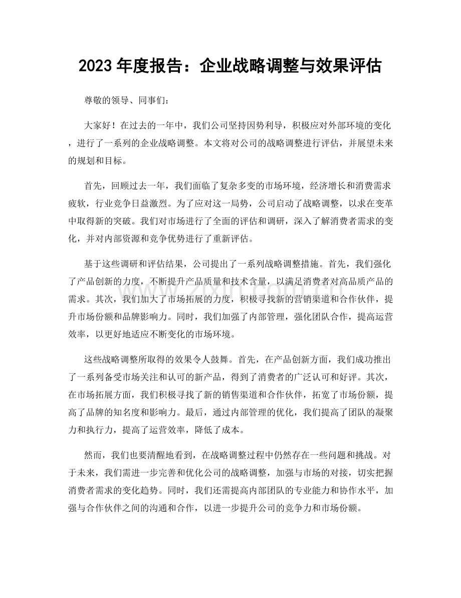 2023年度报告：企业战略调整与效果评估.docx_第1页