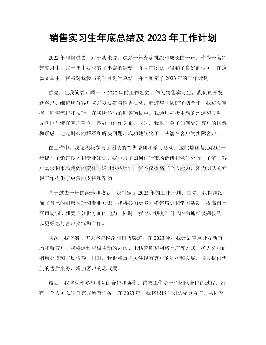 销售实习生年底总结及2023年工作计划.docx_第1页