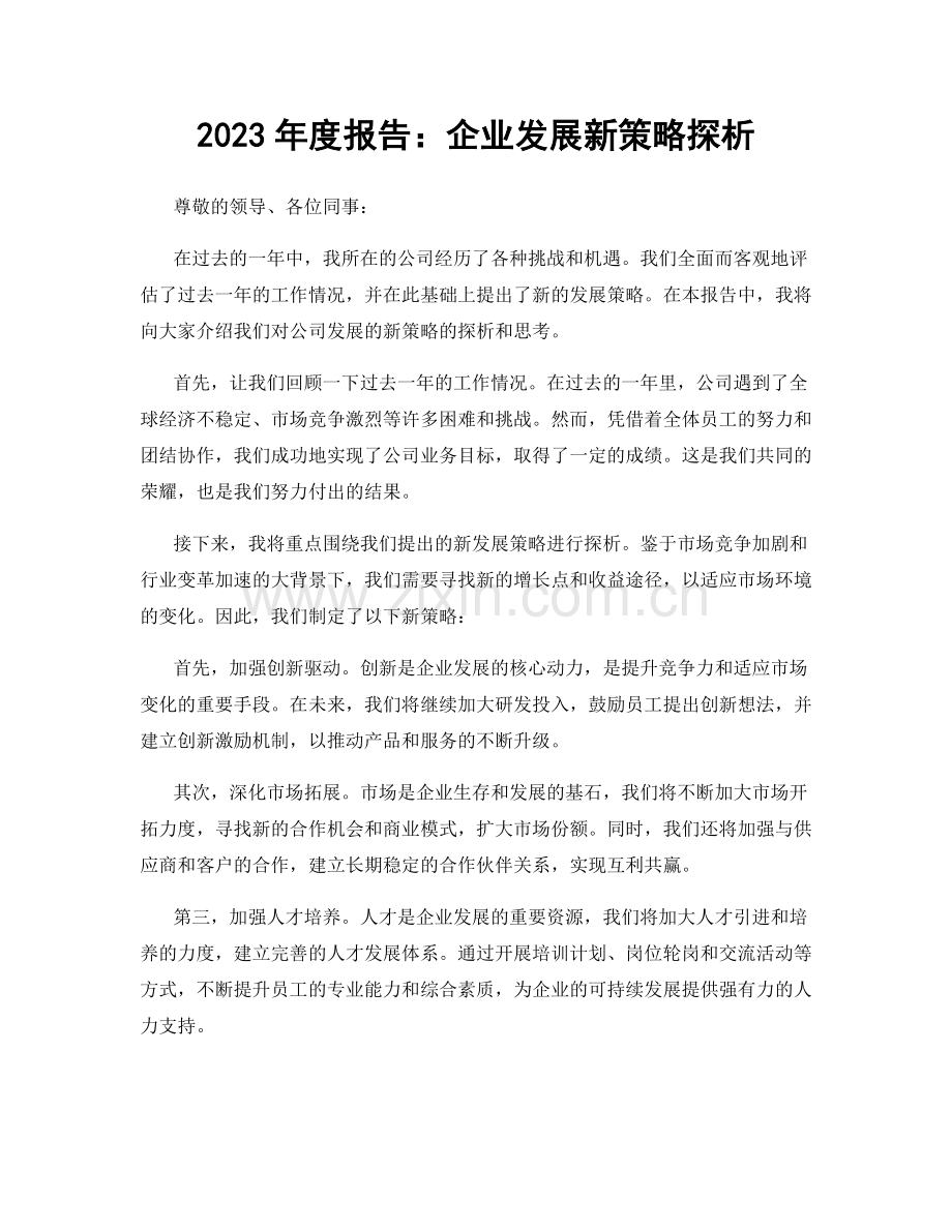 2023年度报告：企业发展新策略探析.docx_第1页