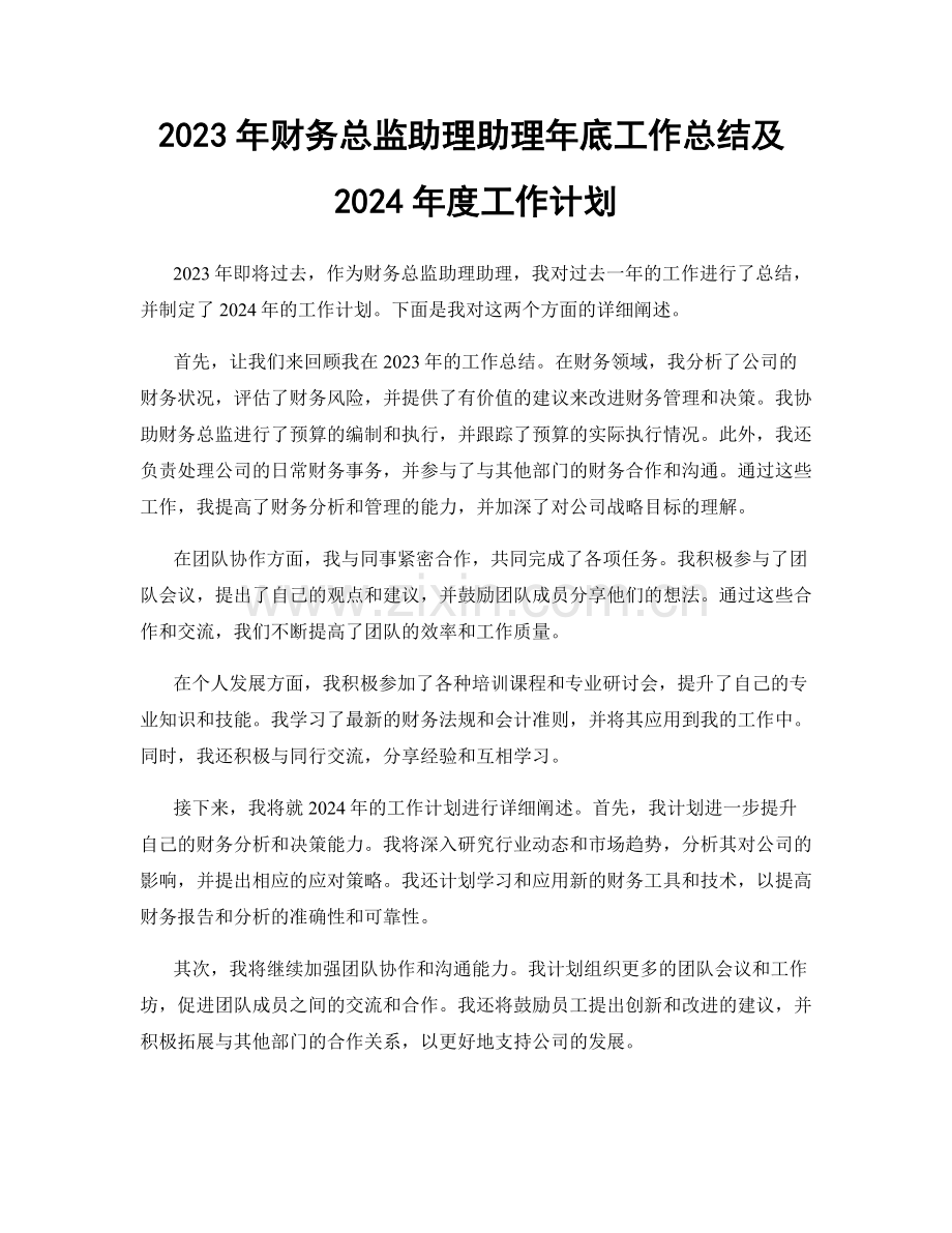 2023年财务总监助理助理年底工作总结及2024年度工作计划.docx_第1页