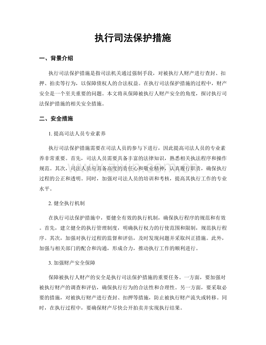 执行司法保护措施.docx_第1页