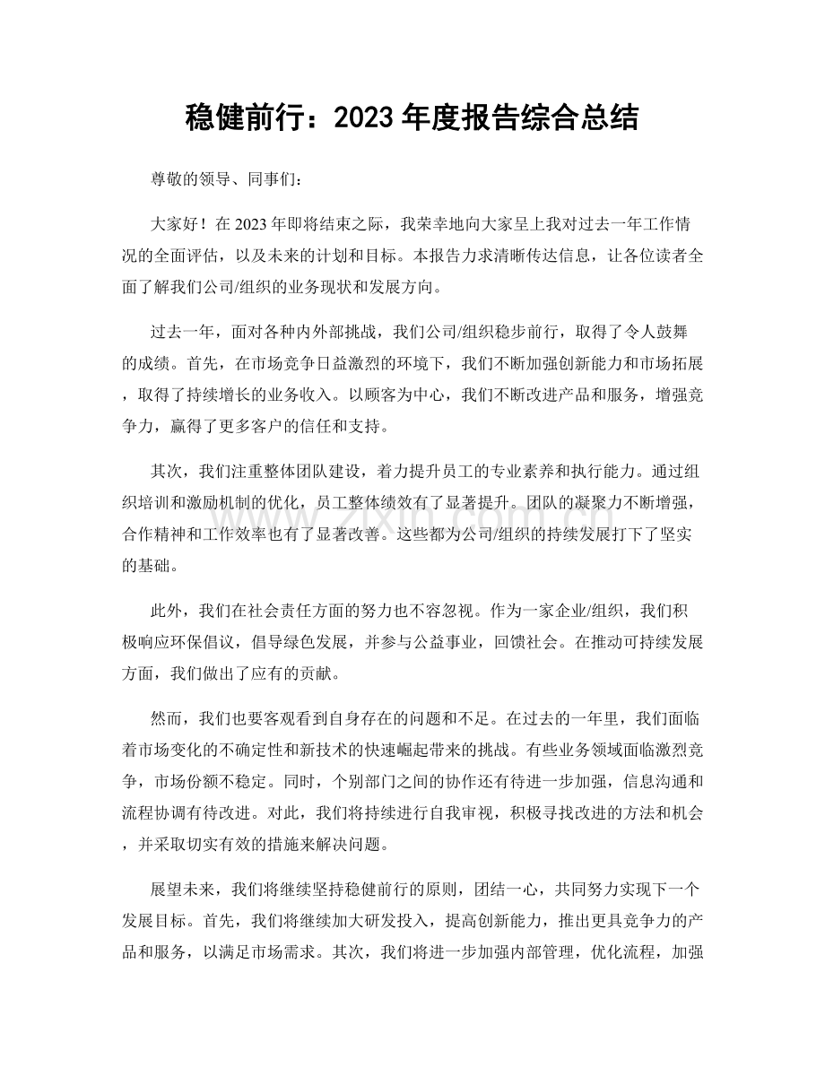 稳健前行：2023年度报告综合总结.docx_第1页