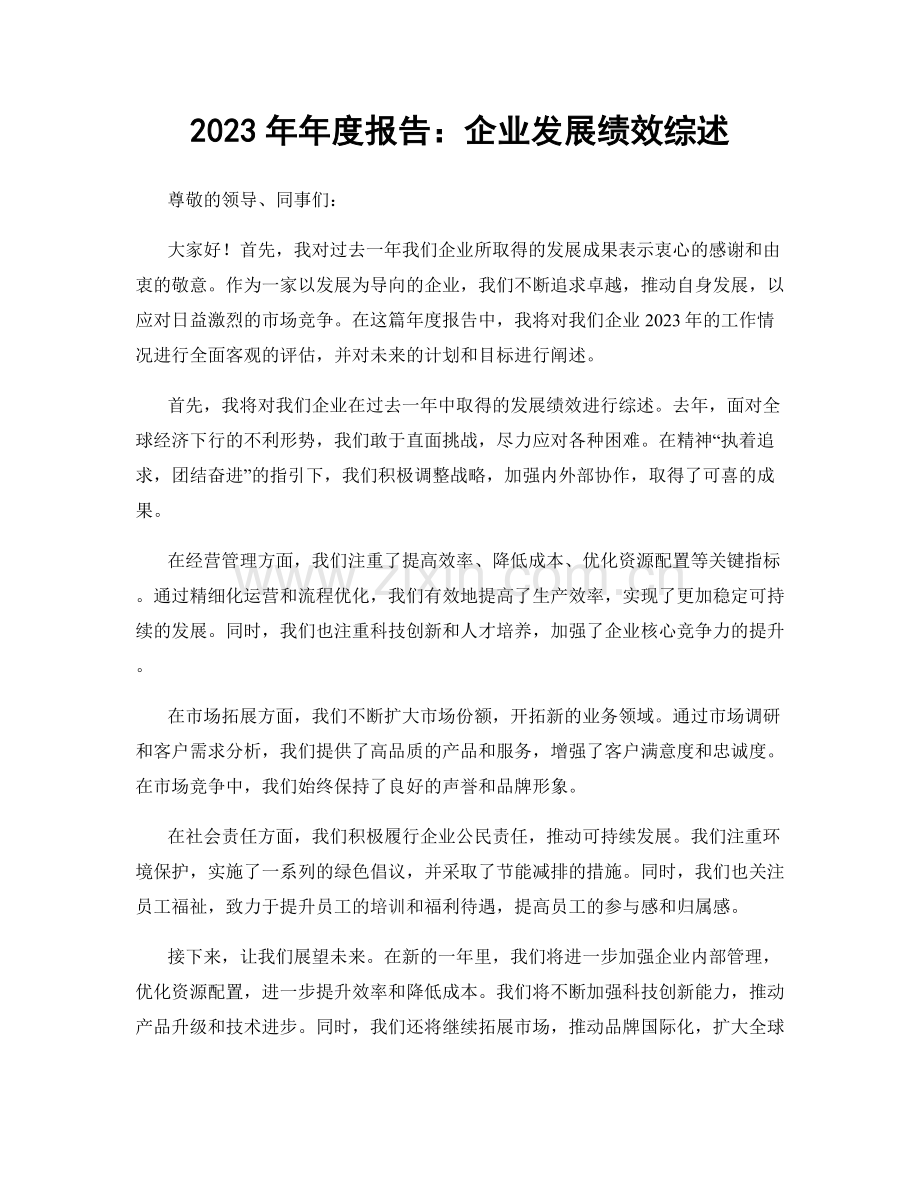 2023年年度报告：企业发展绩效综述.docx_第1页