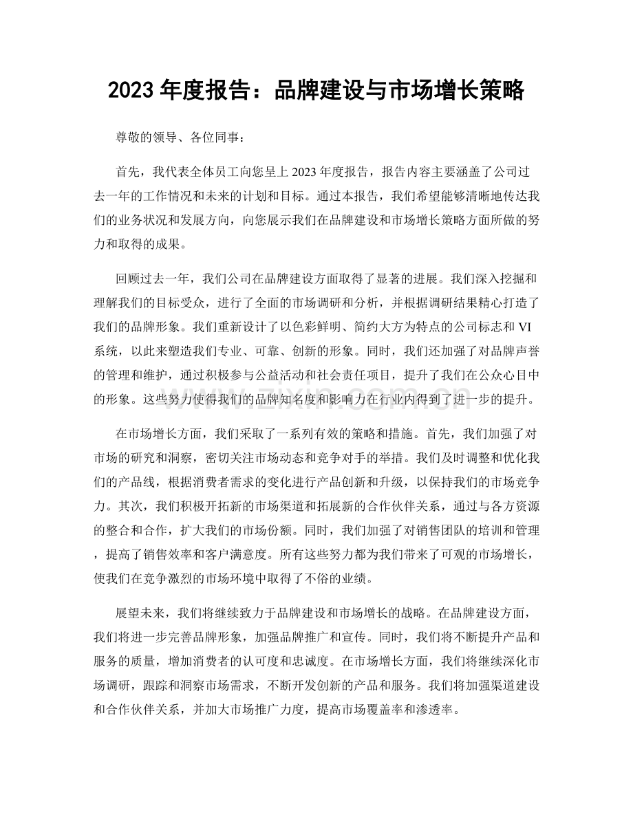 2023年度报告：品牌建设与市场增长策略.docx_第1页