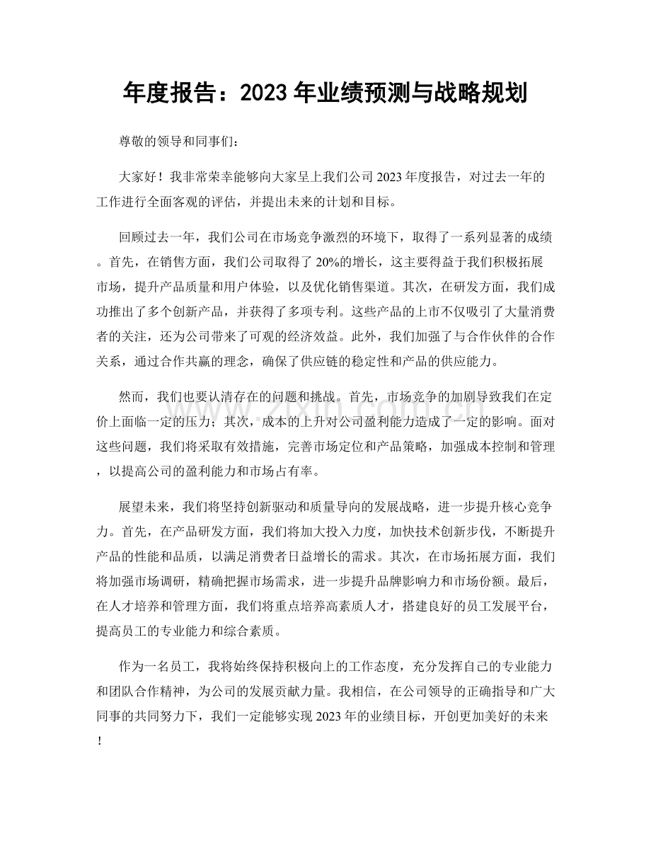 年度报告：2023年业绩预测与战略规划.docx_第1页