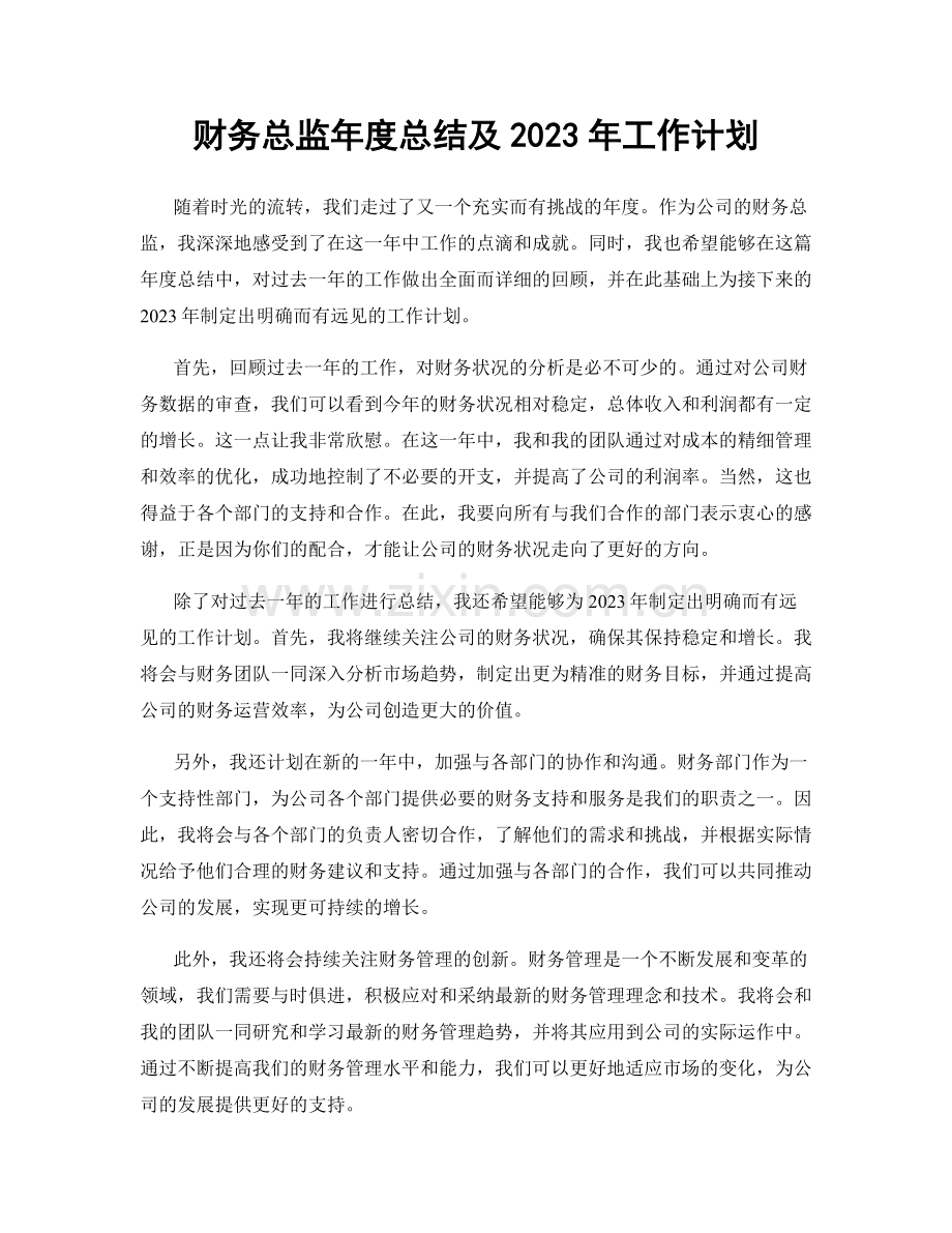 财务总监年度总结及2023年工作计划.docx_第1页