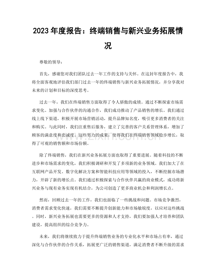 2023年度报告：终端销售与新兴业务拓展情况.docx_第1页