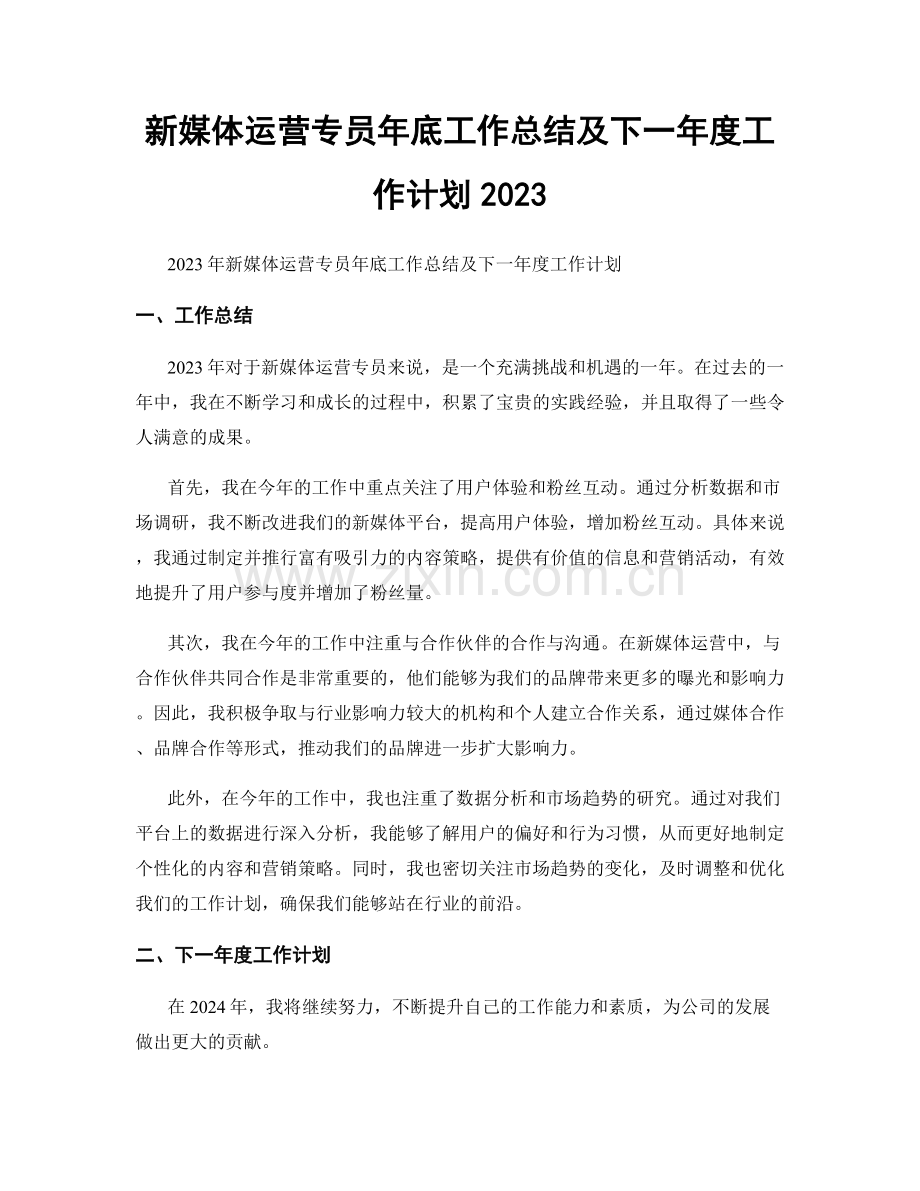 新媒体运营专员年底工作总结及下一年度工作计划2023.docx_第1页