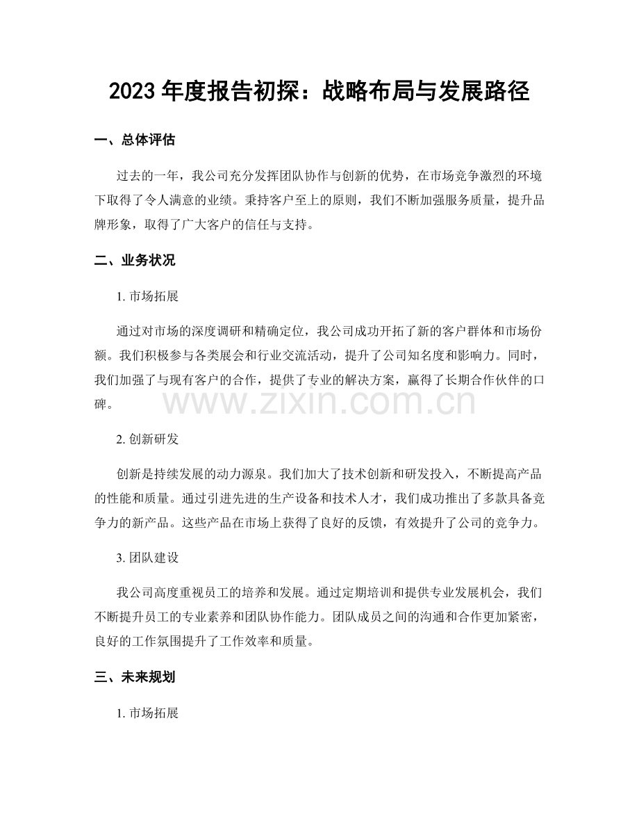 2023年度报告初探：战略布局与发展路径.docx_第1页