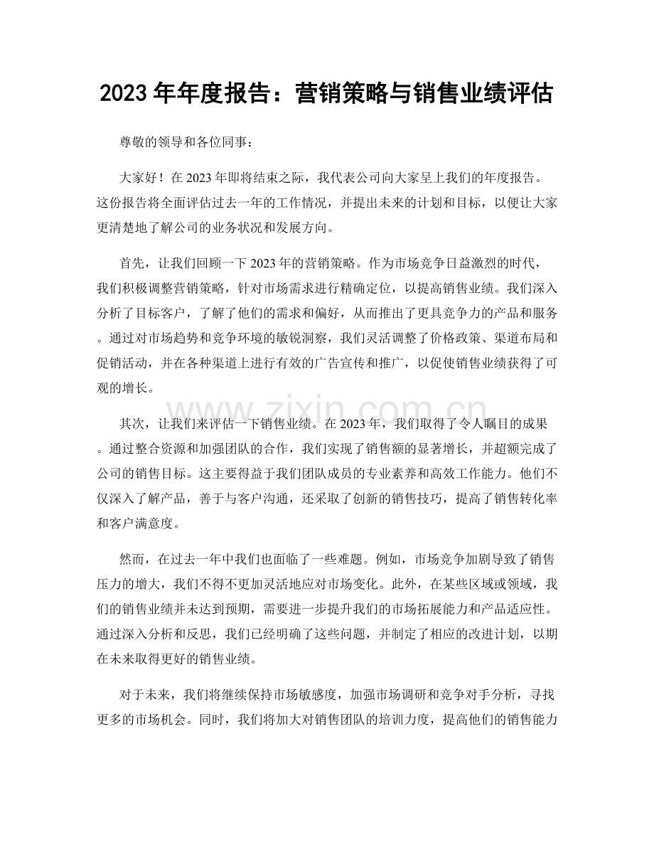 2023年年度报告：营销策略与销售业绩评估.docx_第1页