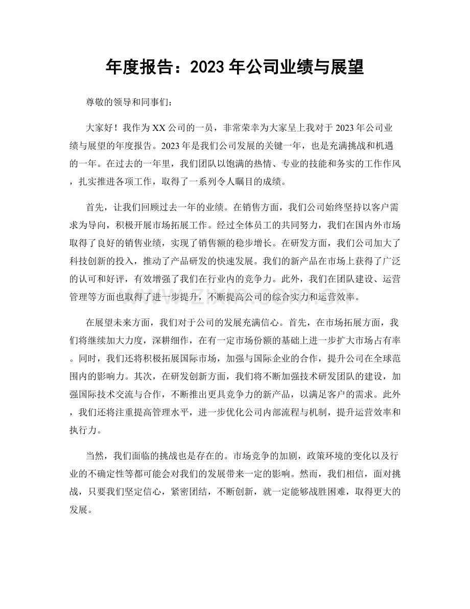 年度报告：2023年公司业绩与展望.docx_第1页