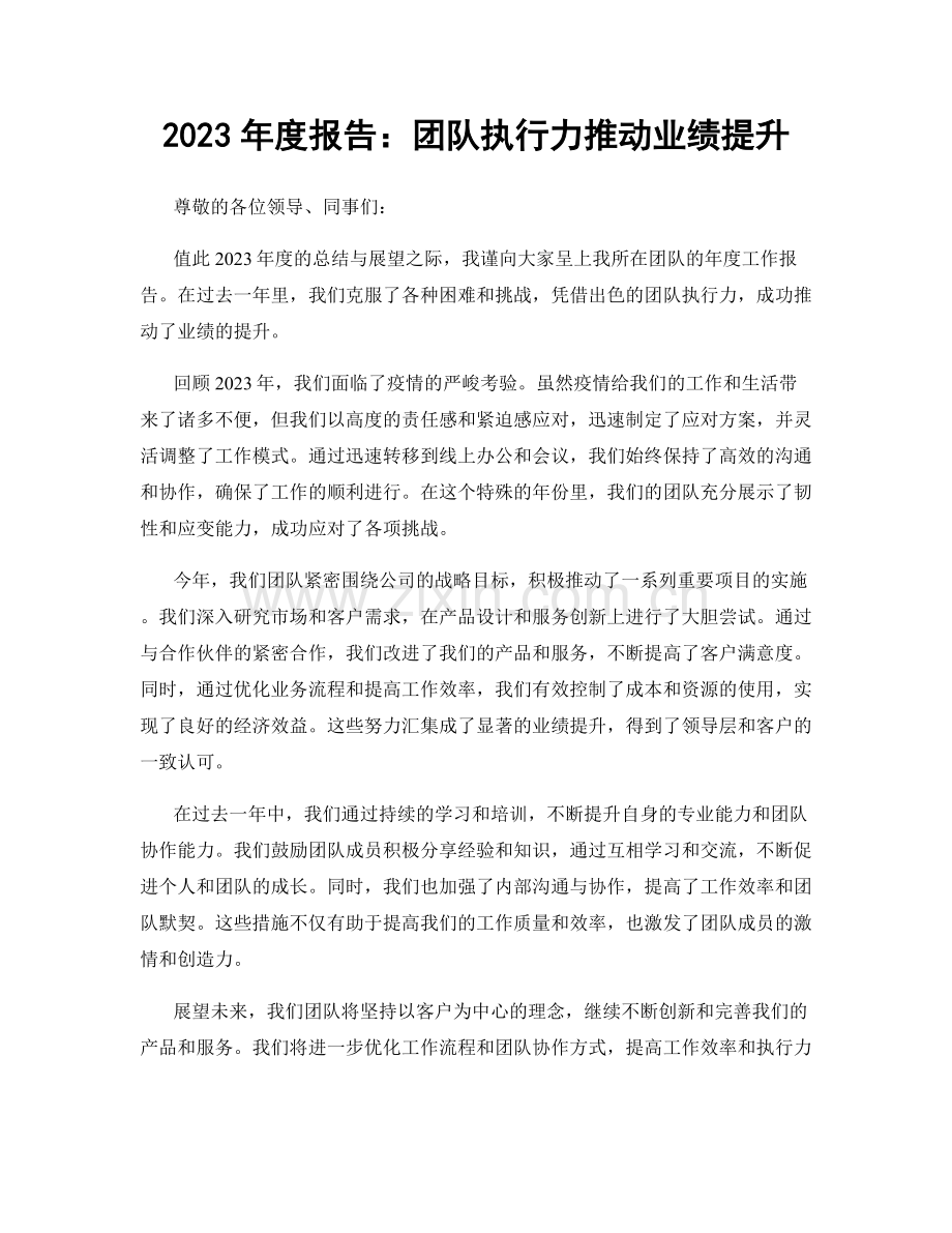 2023年度报告：团队执行力推动业绩提升.docx_第1页