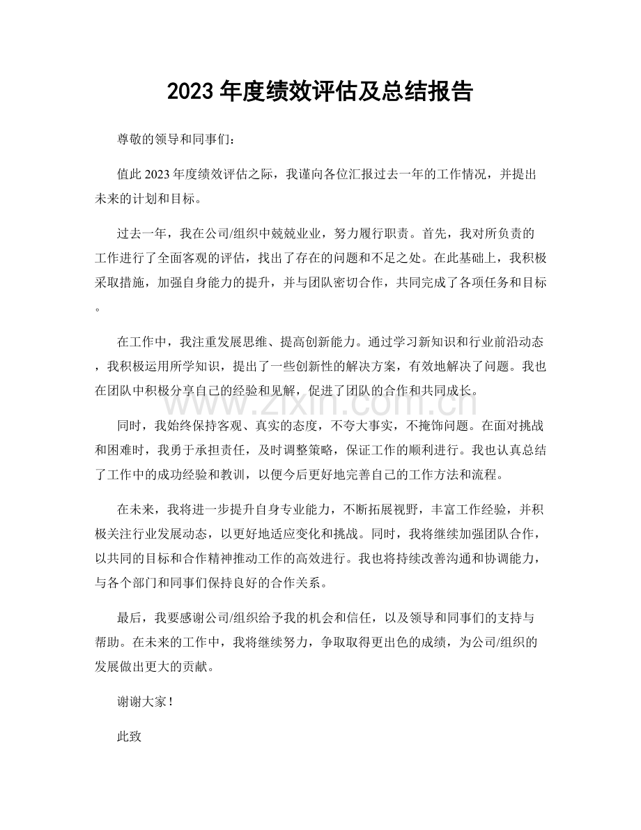 2023年度绩效评估及总结报告.docx_第1页