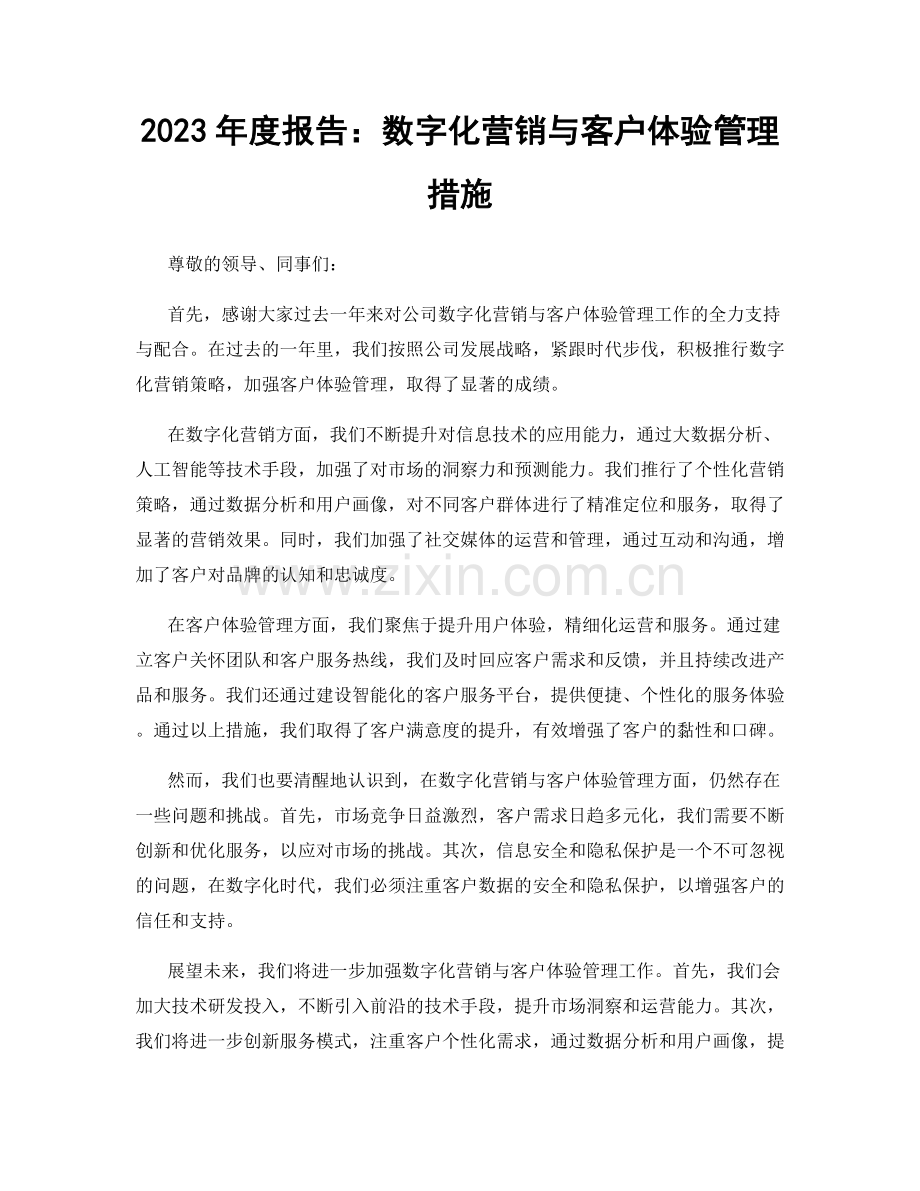 2023年度报告：数字化营销与客户体验管理措施.docx_第1页