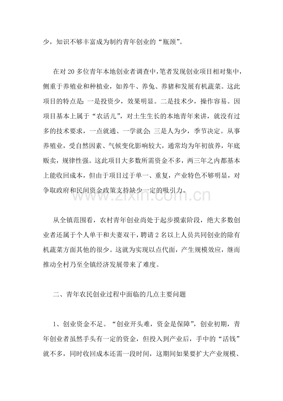 乡镇团委调研报告.doc_第2页