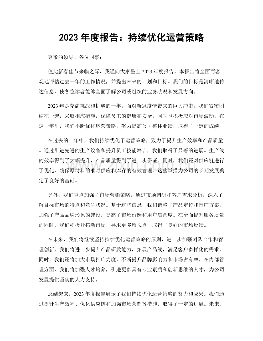 2023年度报告：持续优化运营策略.docx_第1页