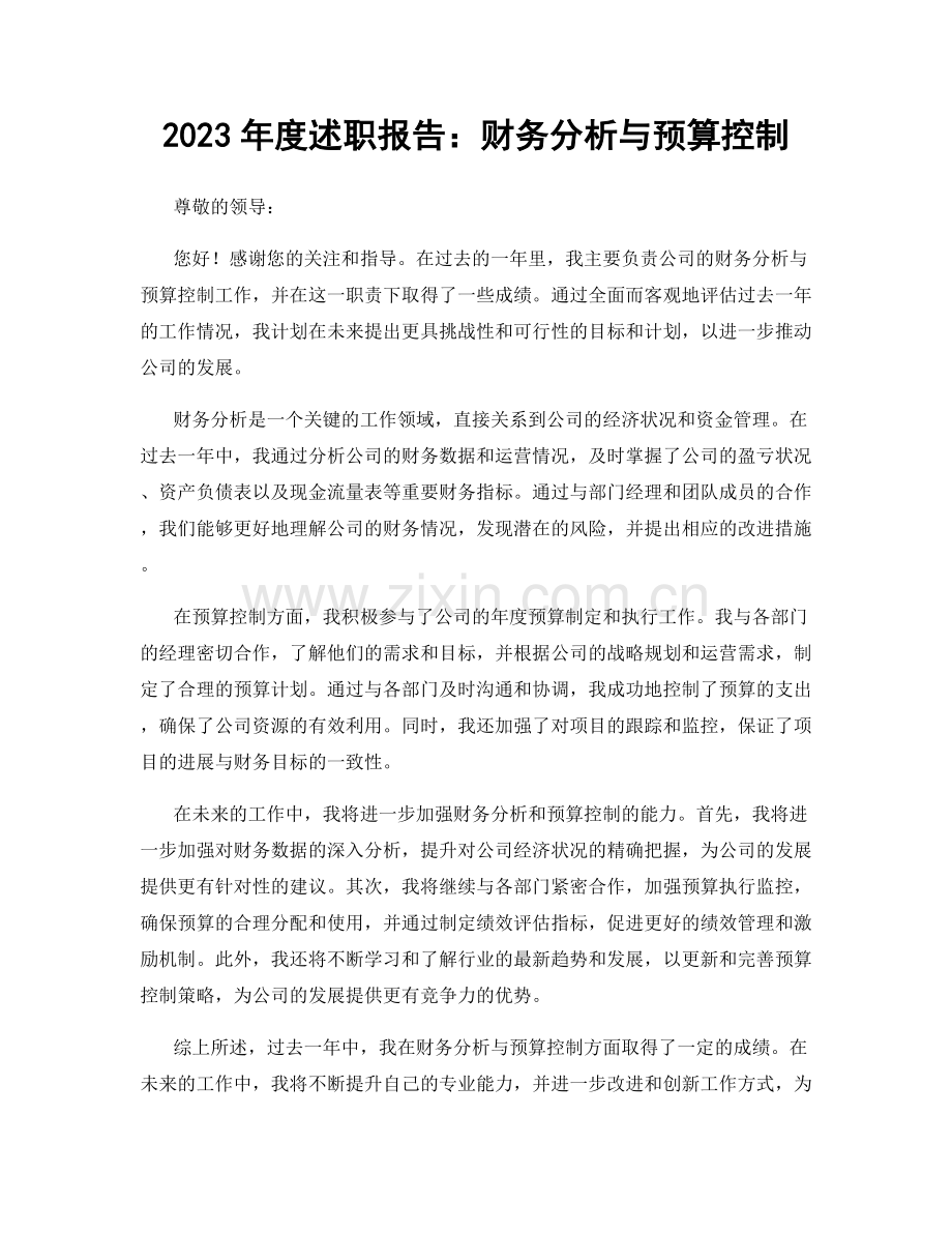 2023年度述职报告：财务分析与预算控制.docx_第1页