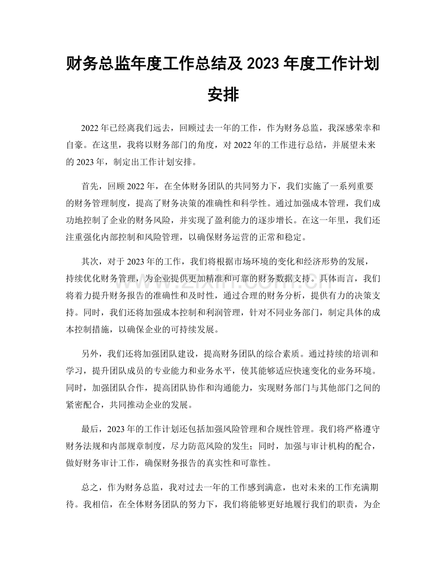 财务总监年度工作总结及2023年度工作计划安排.docx_第1页