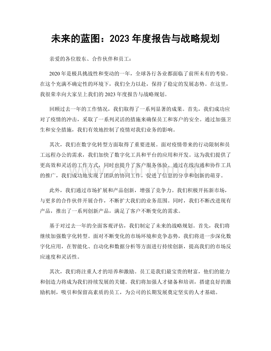 未来的蓝图：2023年度报告与战略规划.docx_第1页