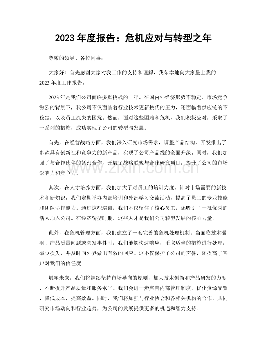 2023年度报告：危机应对与转型之年.docx_第1页