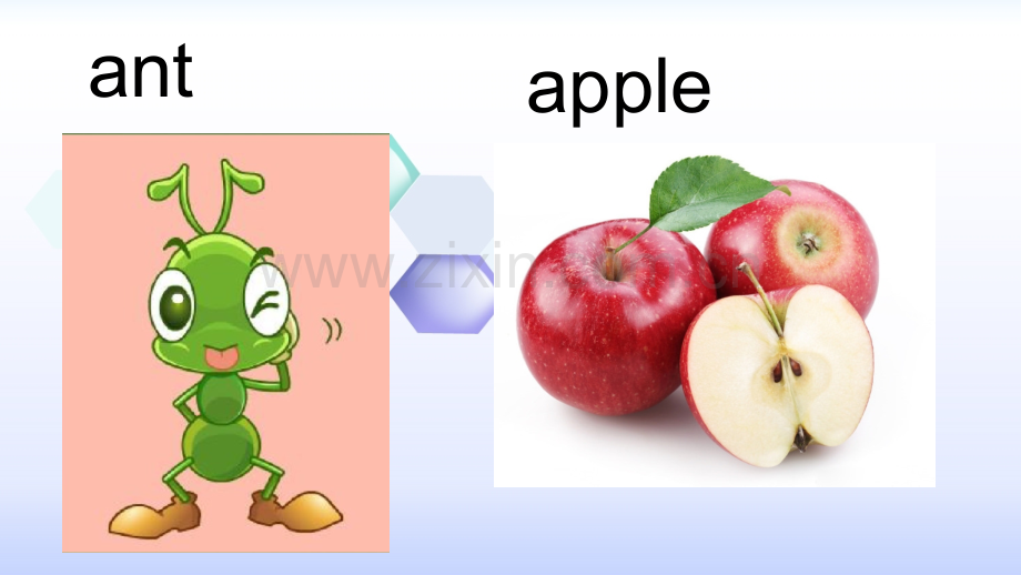 一年级英文字母教学课件.pptx_第3页