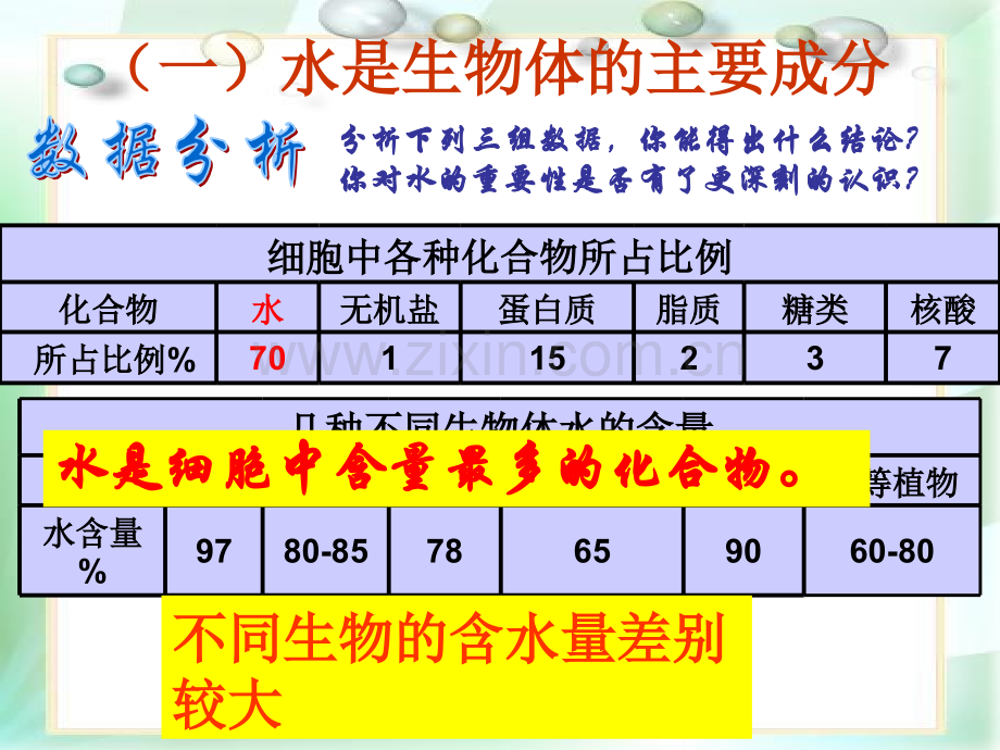 生命之源水和无机盐.pptx_第3页