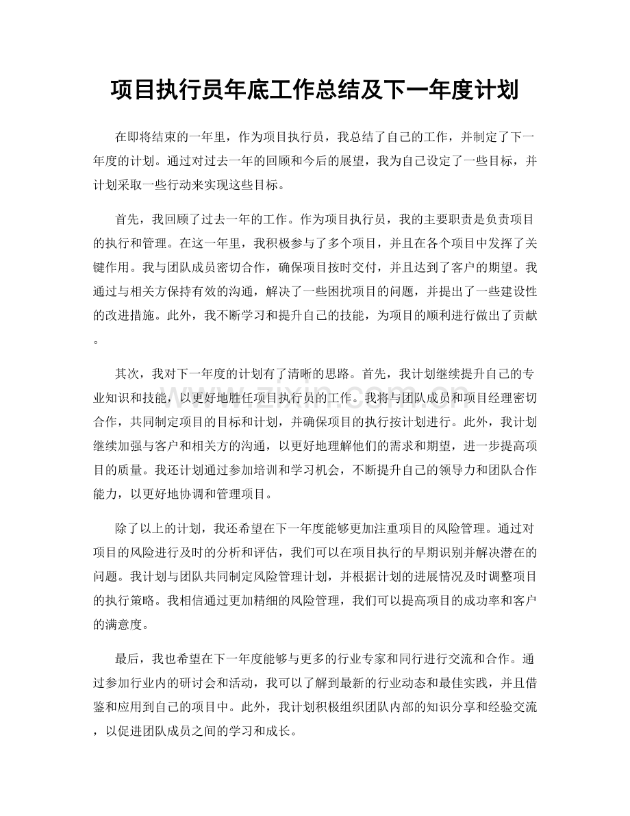 项目执行员年底工作总结及下一年度计划.docx_第1页