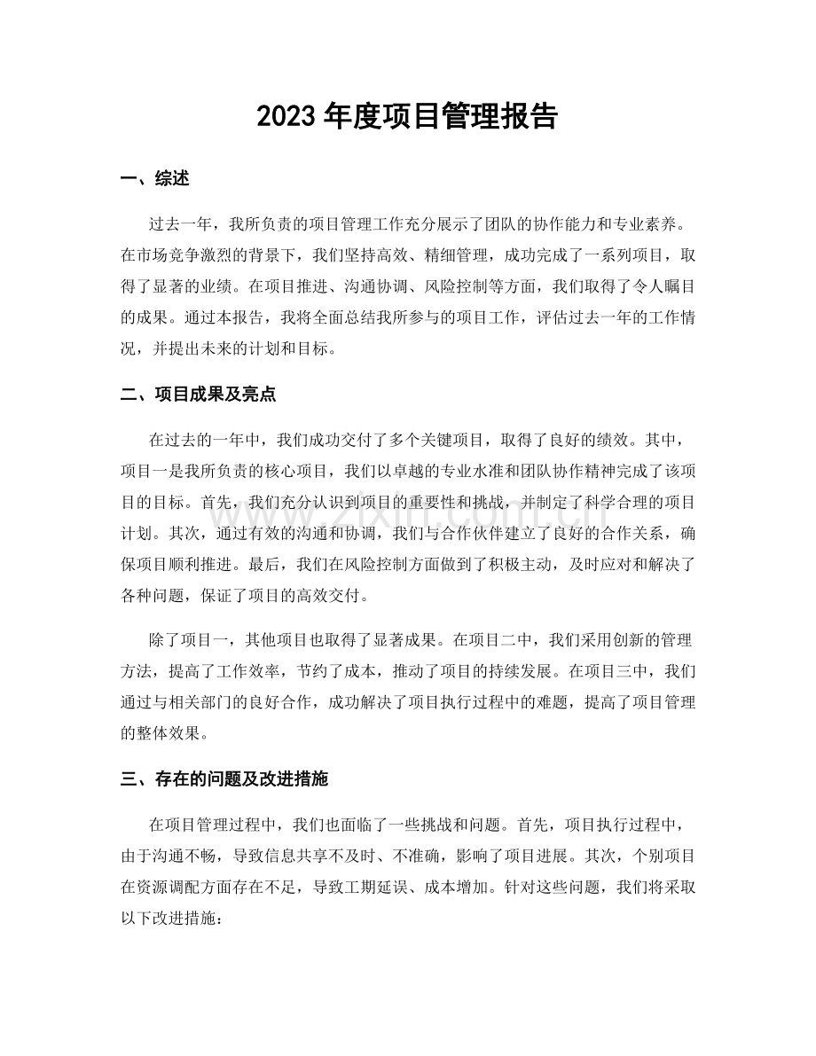 2023年度项目管理报告.docx_第1页