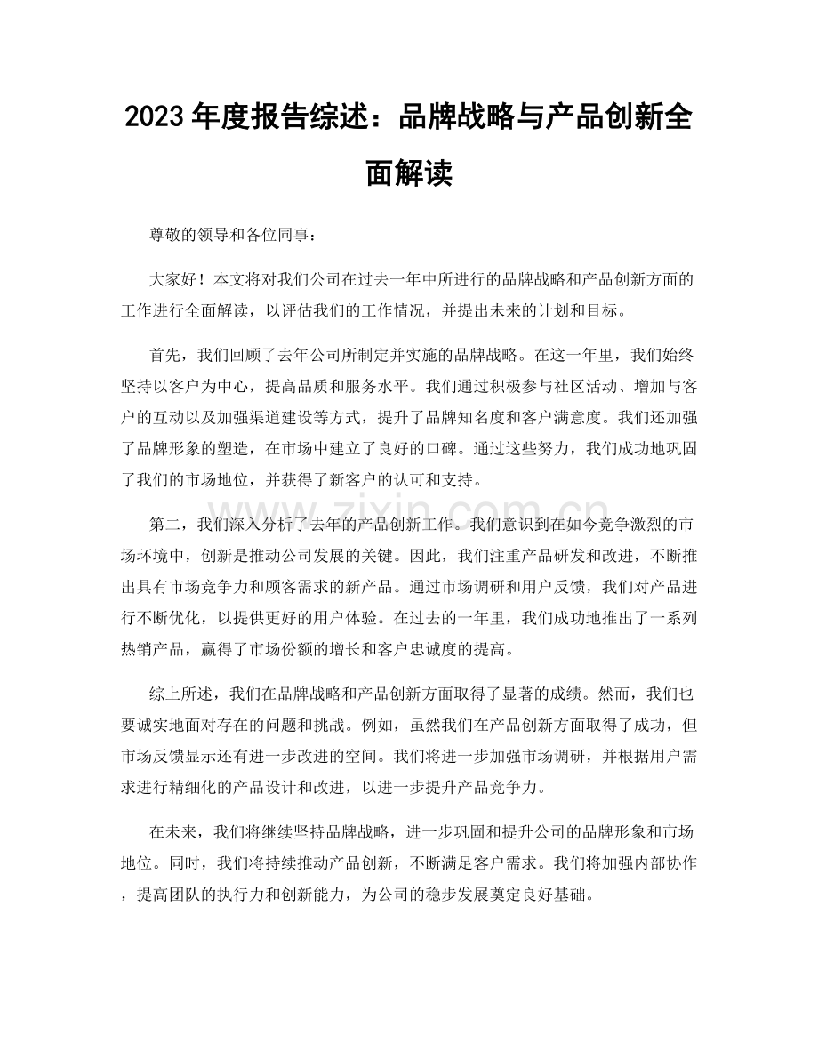 2023年度报告综述：品牌战略与产品创新全面解读.docx_第1页