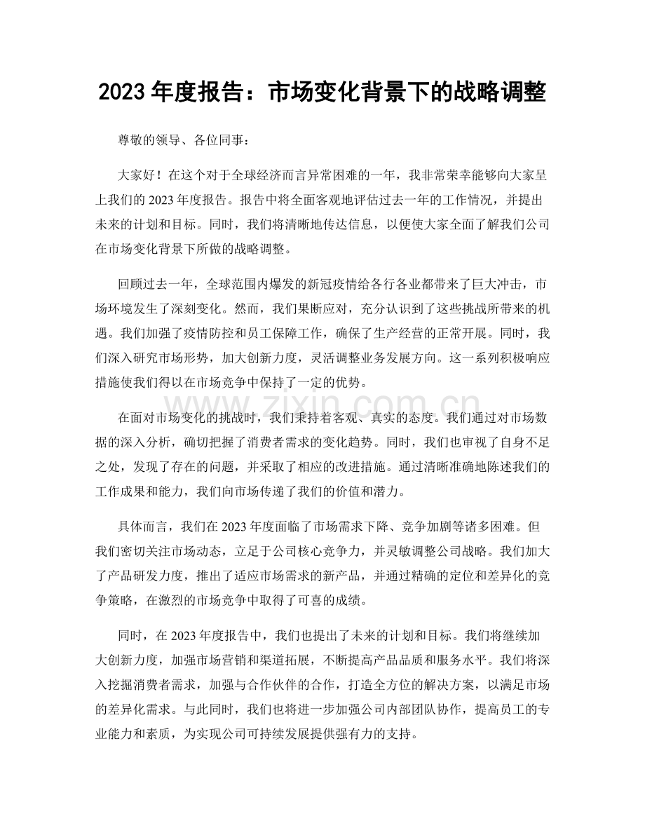 2023年度报告：市场变化背景下的战略调整.docx_第1页