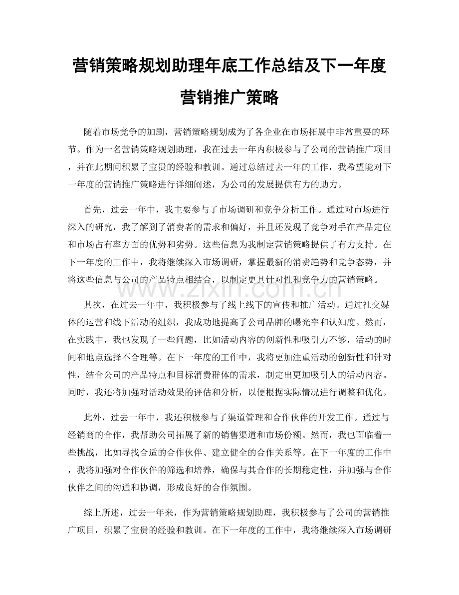 营销策略规划助理年底工作总结及下一年度营销推广策略.docx_第1页