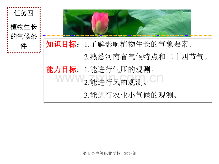 任务四植物生长的气候条件.pptx_第2页