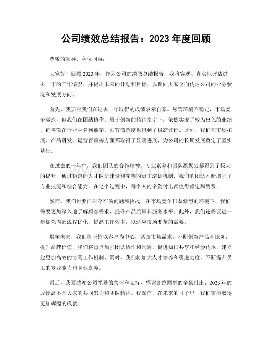 公司绩效总结报告：2023年度回顾.docx_第1页