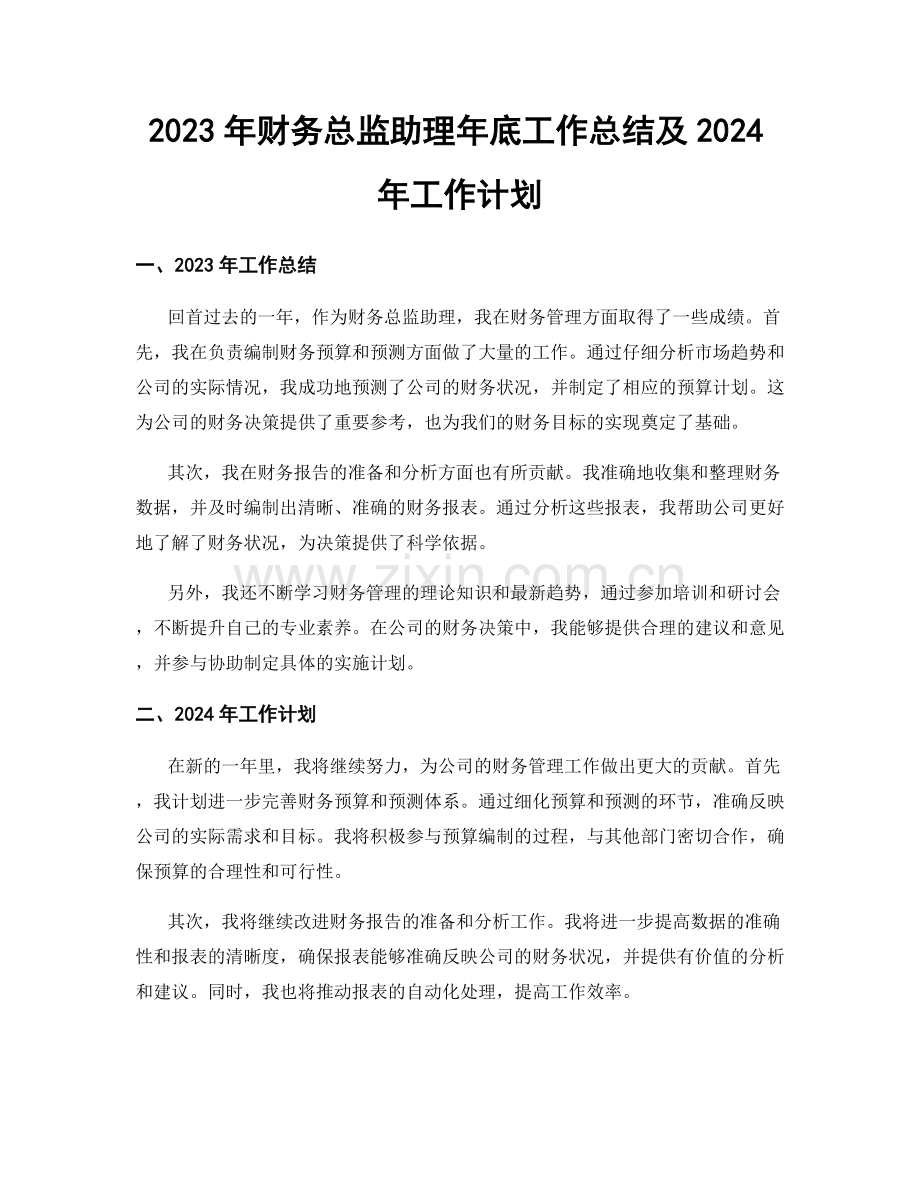 2023年财务总监助理年底工作总结及2024年工作计划.docx_第1页