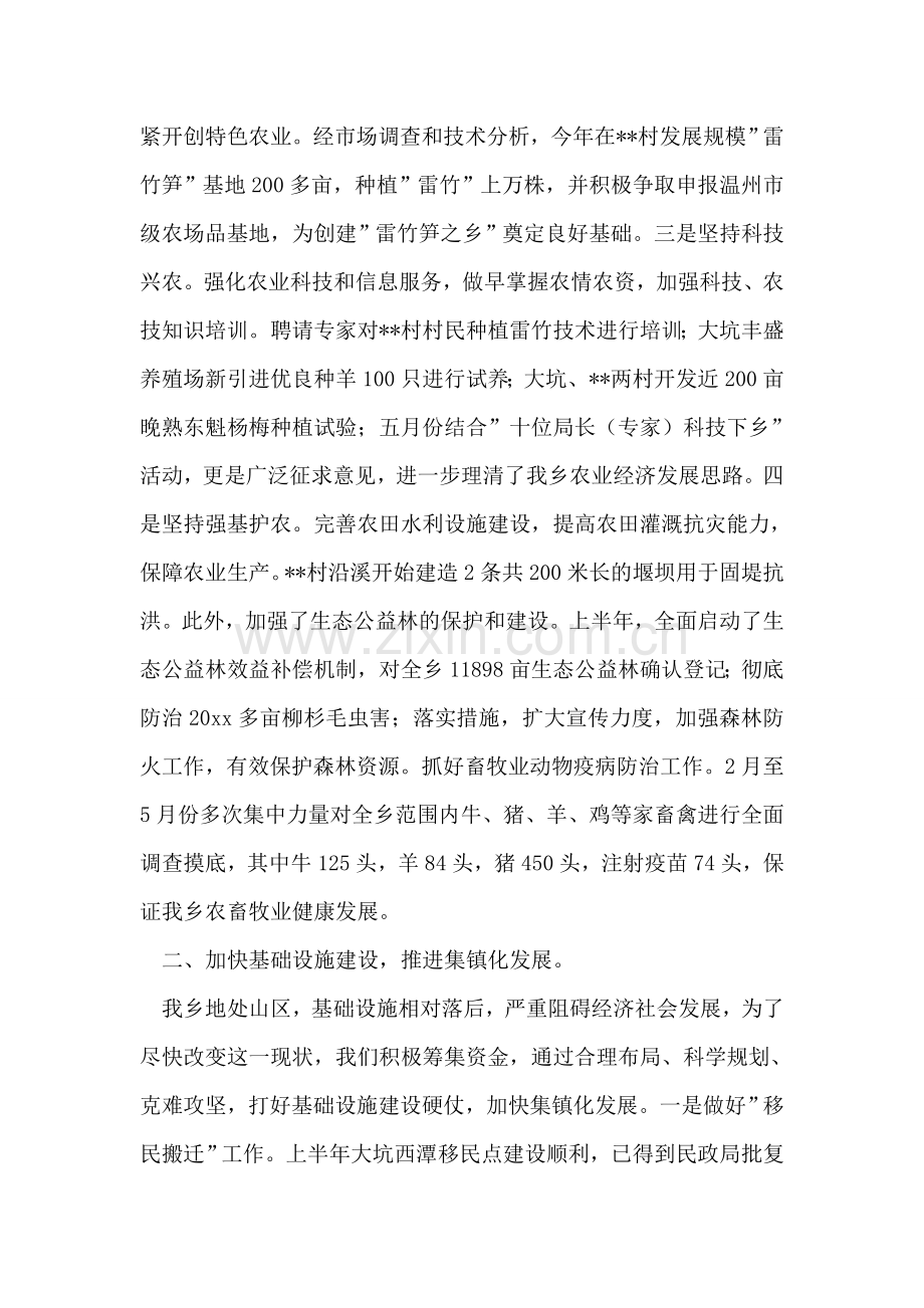 乡党委政府半年度总结.doc_第2页