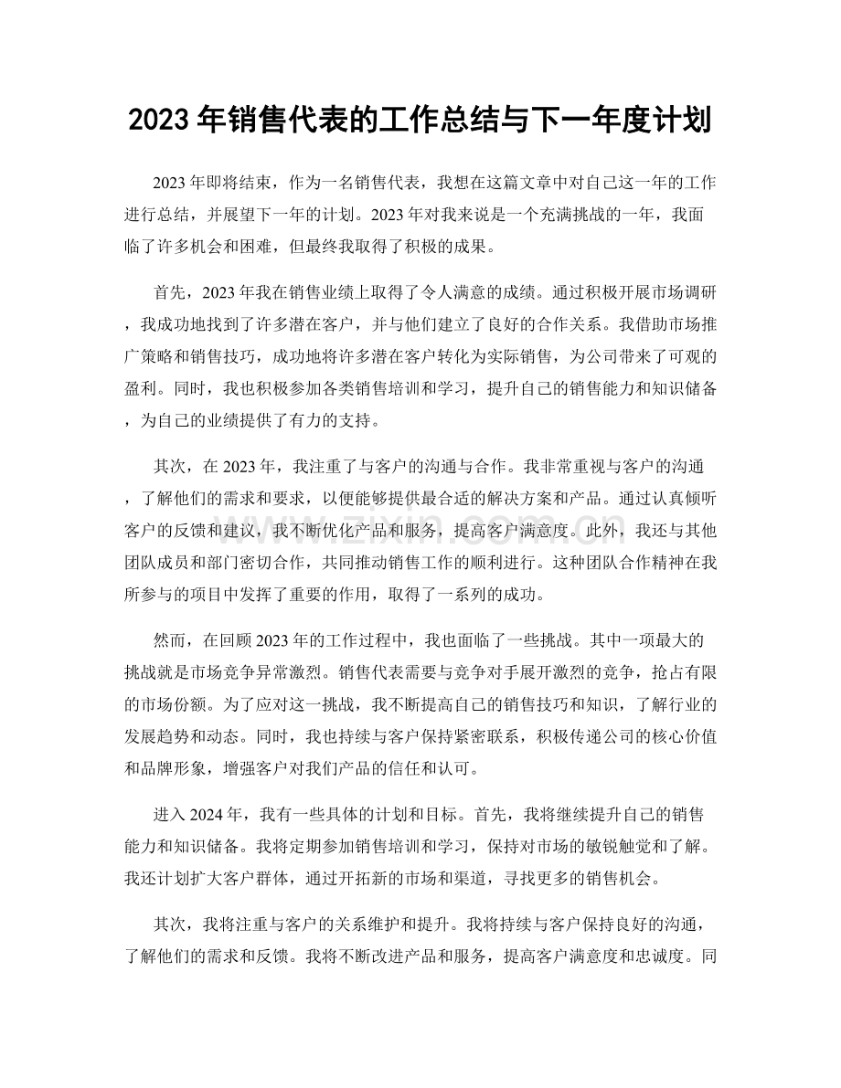 2023年销售代表的工作总结与下一年度计划.docx_第1页