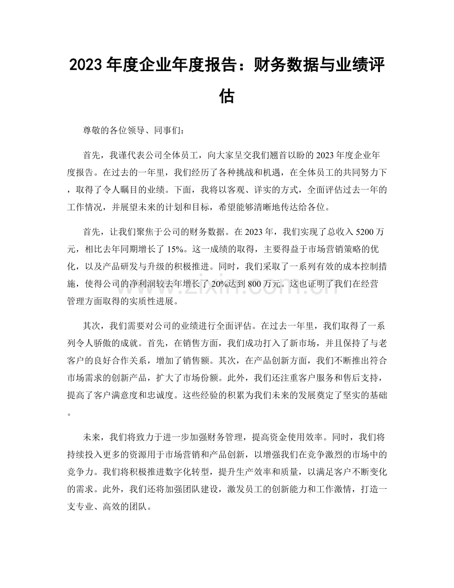 2023年度企业年度报告：财务数据与业绩评估.docx_第1页