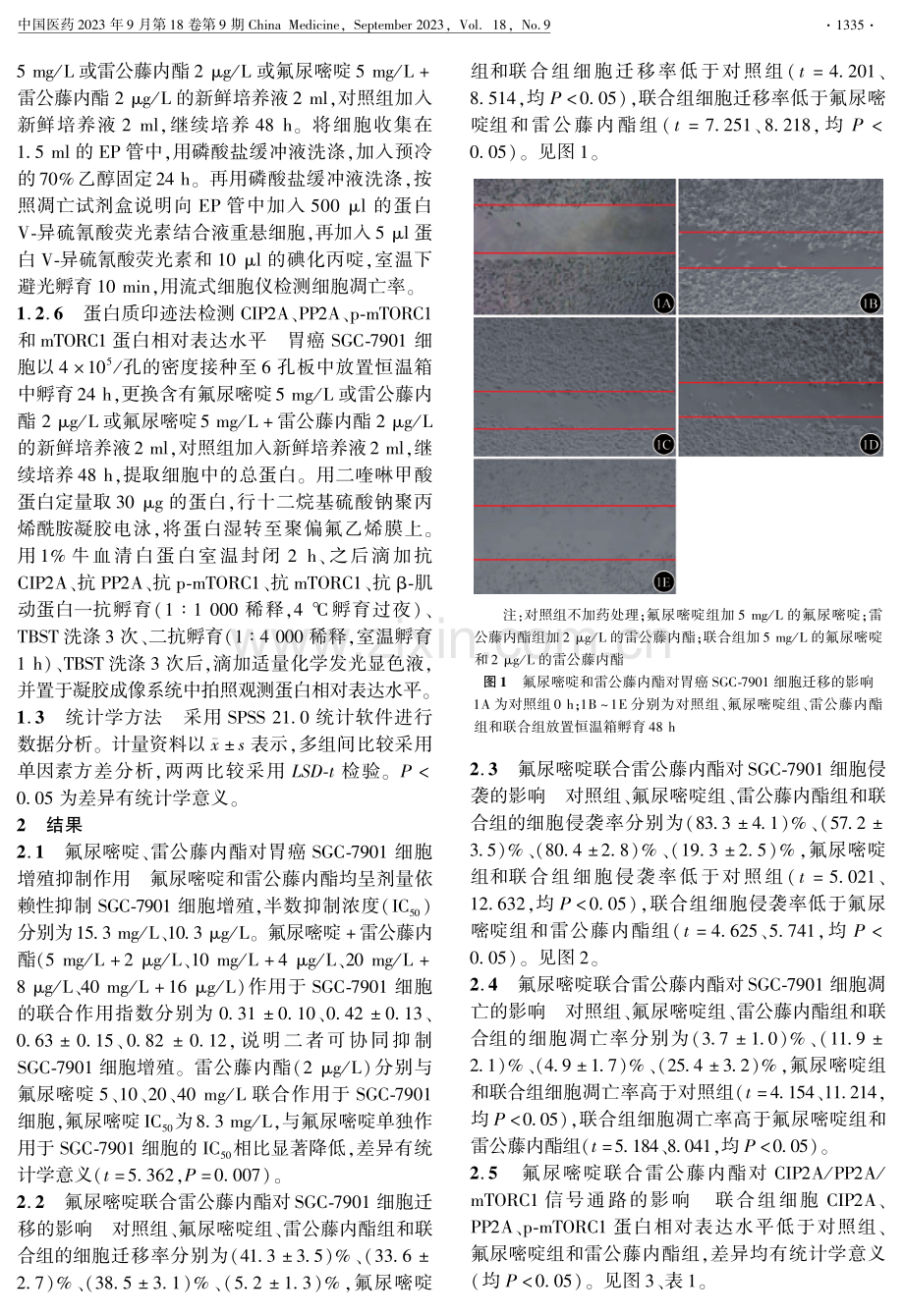 氟尿嘧啶联合低剂量雷公藤内酯对胃癌细胞增殖和迁移及侵袭的影响及机制研究.pdf_第3页