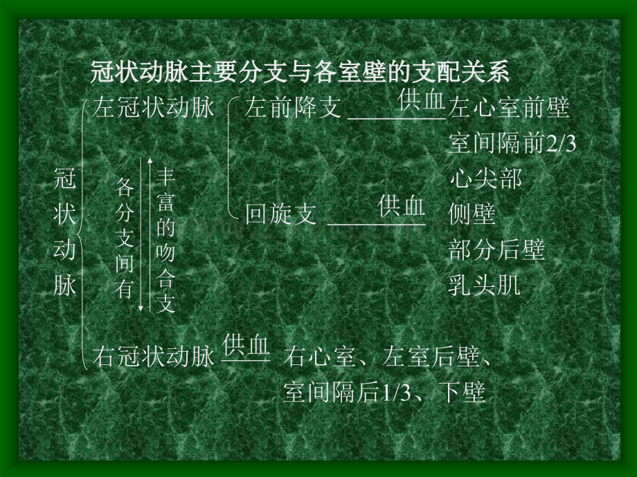 冠状动脉粥样硬化性心脏病冠心病的超声诊断.pptx_第2页