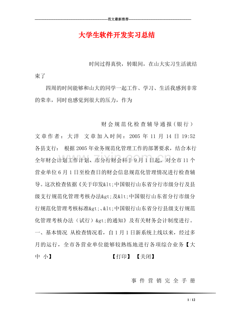 大学生软件开发实习总结.doc_第1页