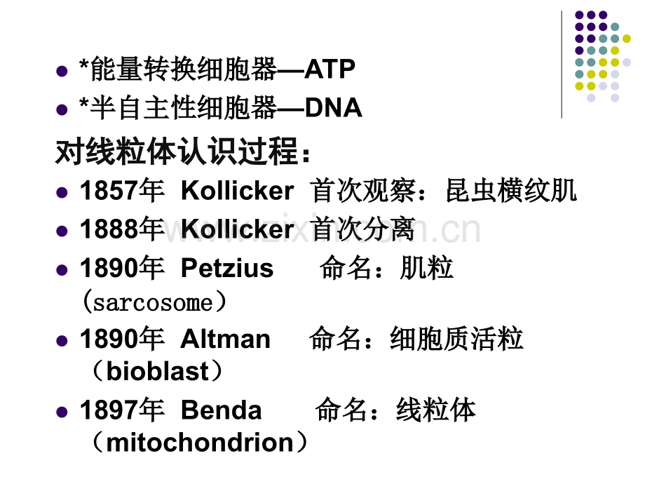 线粒体与氧化磷酸化细胞生物学.pptx_第3页