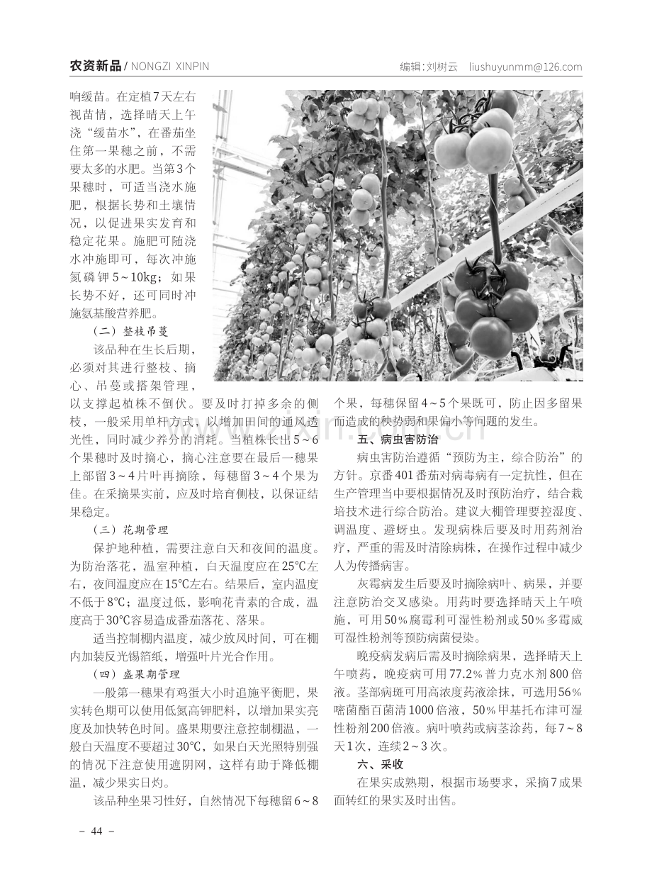 粉果番茄新品种——“京番401”栽培管理技术.pdf_第2页