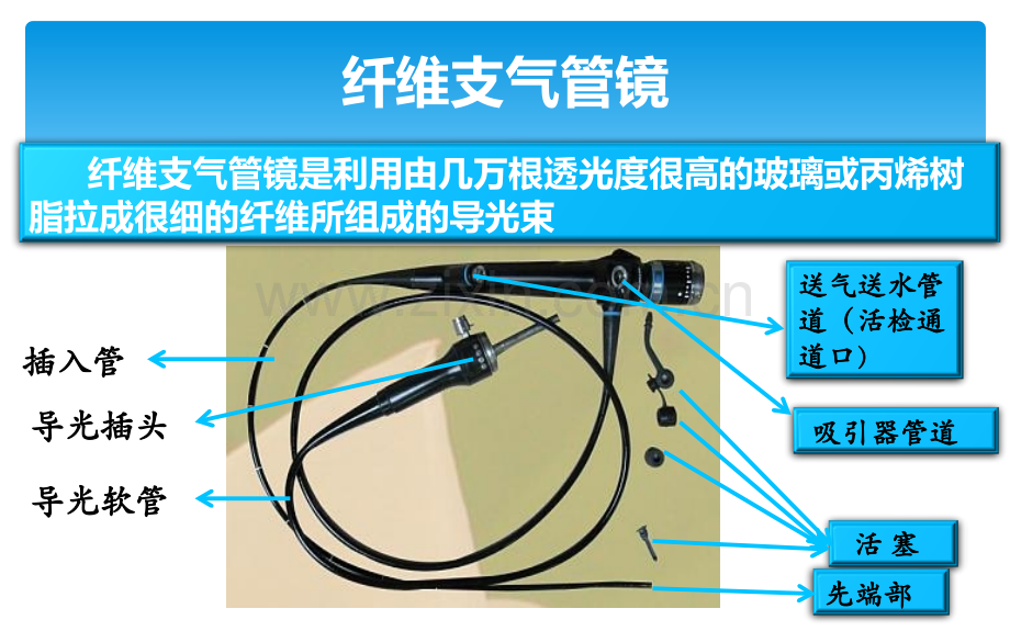 21纤支镜的清洗消毒与维护程序.pptx_第2页