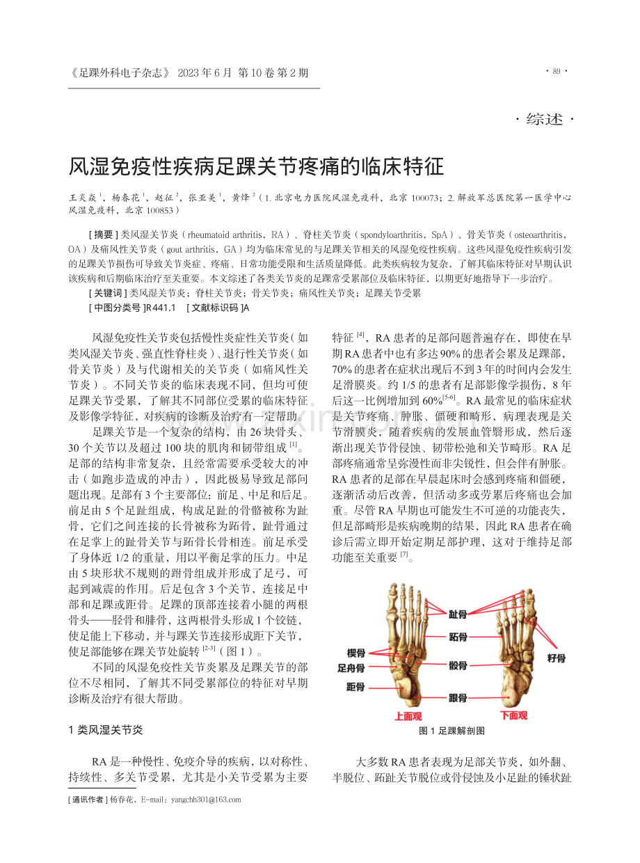 风湿免疫性疾病足踝关节疼痛的临床特征.pdf_第1页