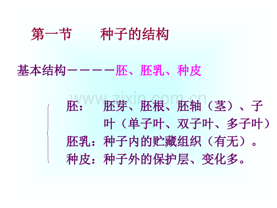 园林植物学种子和幼苗.pptx_第2页