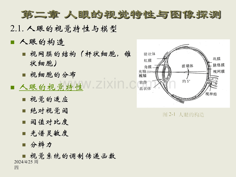 人眼的视觉特性与图像探测.pptx_第1页