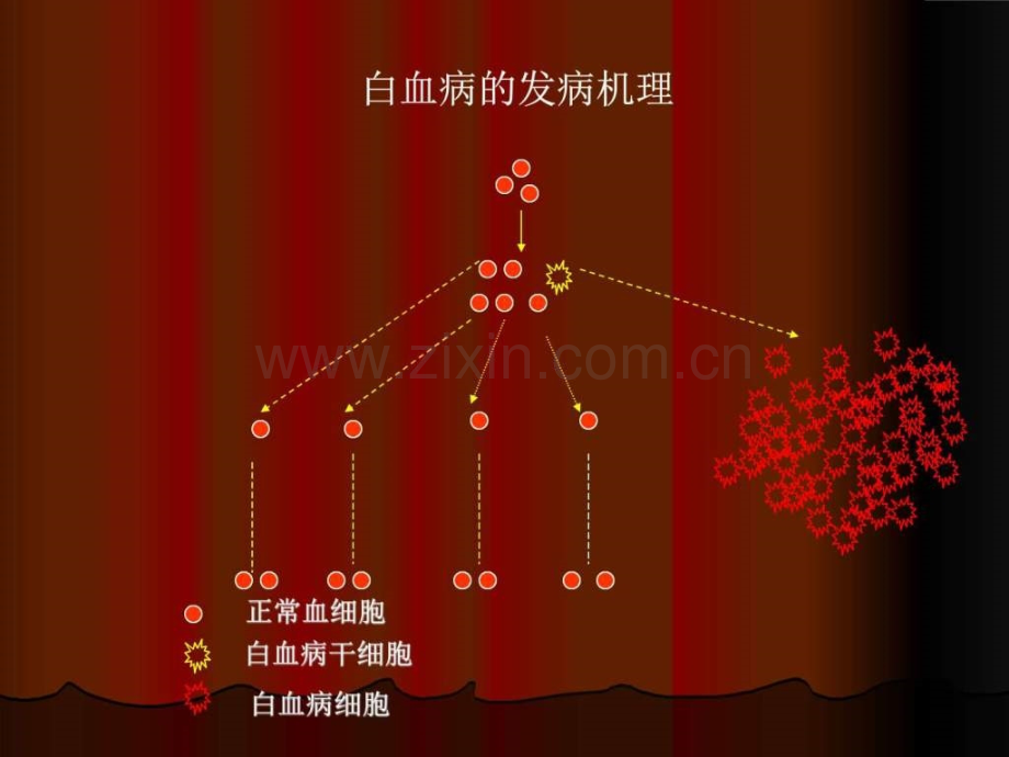 急性白血病化疗.pptx_第3页