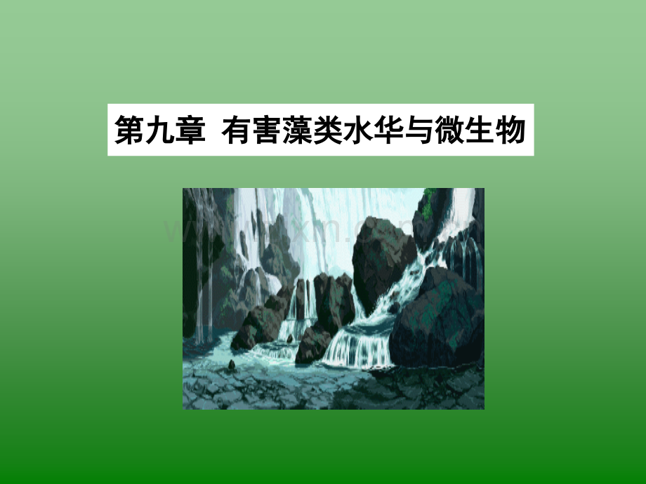 郑州大学生物工程系-环境微生物学有害藻类水华与微生物.pptx_第1页