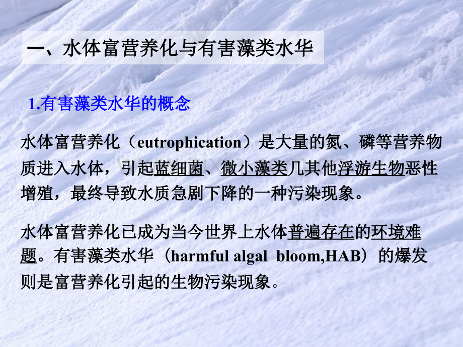 郑州大学生物工程系-环境微生物学有害藻类水华与微生物.pptx_第3页