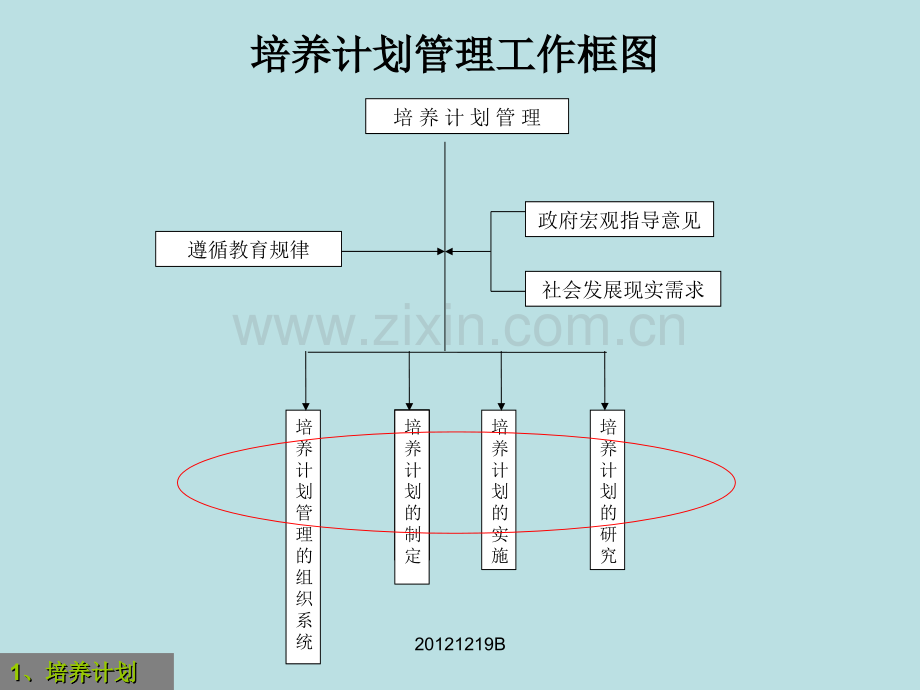 大学教学管理.pptx_第3页